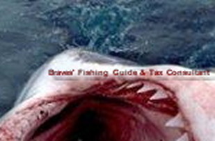 Fishing10.jpg