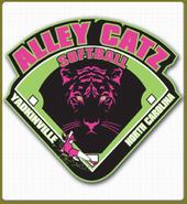 Alley catz.jpg