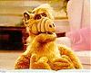 Alf